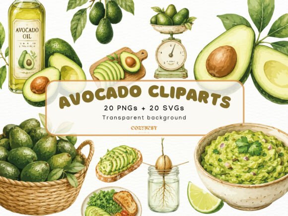 Download Avocado Watercolor Clipart Botanical PNG - Botanical Collection
