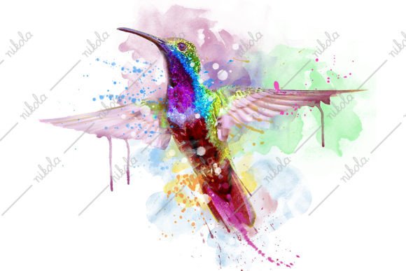 Download Hummingbird Watercolor Sublimation - Sublimation Collection