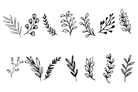 Download Botanical Leaf Wildflower Line Art - Botanical Collection